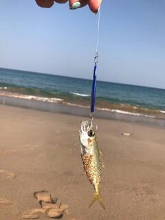 ОАЭ: Фуджейра у Sandy Beach и скрытая точка в Дубае у залива