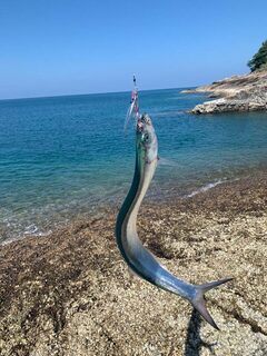 Пхукет: металджиг, Torpedo scad и King mackerel на дневных выходах