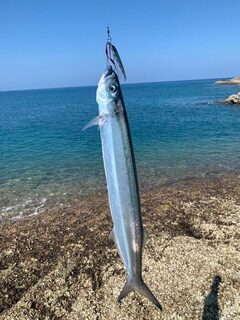 Пхукет: металджиг, Torpedo scad и King mackerel на дневных выходах