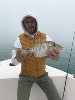 Дубай: туман, ближние точки и сход king fish