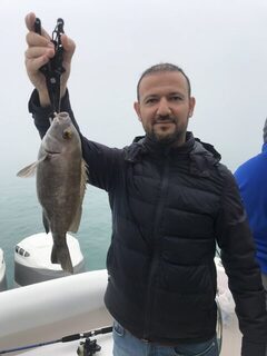 Дубай: туман, ближние точки и сход king fish