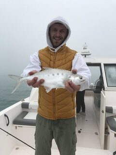 Дубай: туман, ближние точки и сход king fish