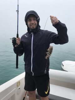 Дубай: туман, ближние точки и сход king fish