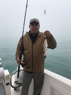 Дубай: туман, ближние точки и сход king fish