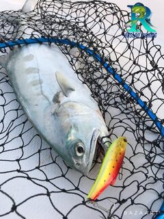 Дубай: queen fish, раттлин BassBay и trevally-точка