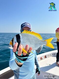 Февраль в Абу-Даби: 130 км без kingfish, хамур до 2 кг и джиг 30-60 граммов