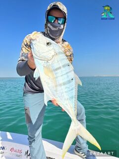 Февраль в Абу-Даби: 130 км без kingfish, хамур до 2 кг и джиг 30-60 граммов