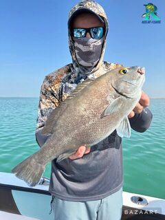 Февраль в Абу-Даби: 130 км без kingfish, хамур до 2 кг и джиг 30-60 граммов
