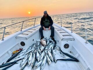 По котлам у Абу-Даби: чайка в 2-3 км и активный kingfish на приманки