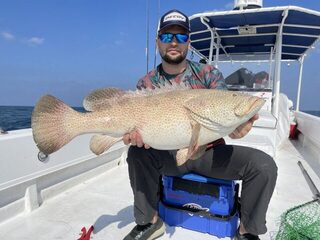 По котлам у Абу-Даби: чайка в 2-3 км и активный kingfish на приманки