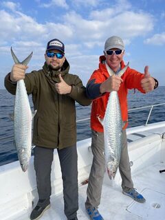 По котлам у Абу-Даби: чайка в 2-3 км и активный kingfish на приманки