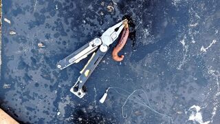 Четыре точки в Варадеро: канал после марины, барракуда на воблер и глубина 15+ метров