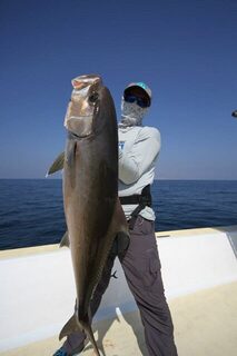 Халаният в октябре: кастинг, вертикальный джиг, amberjack, mahi-mahi и первый bluefish
