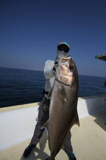 Халаният в октябре: кастинг, вертикальный джиг, amberjack, mahi-mahi и первый bluefish