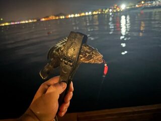 Ультралайт в Кемере и Гёйнюке на Анталийском побережье Турции: легкая рыбалка на отдыхе