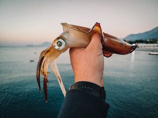 Кириш, Турция: рассветная морская ловля с пирса на воблеры, кальмара и отводной поводок