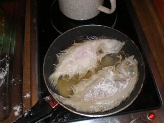 Остров Крк в Хорватии: береговая морская рыбалка на Адриатике со скал у бухты
