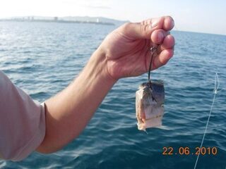 Морская рыбалка в Витязево под Анапой: морская лиса, барабулька и улов