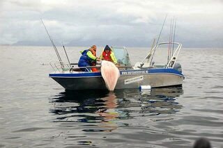 Россия, Кольский полуостров: морская рыбалка с расчетом на крупную рыбу