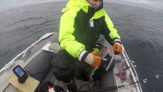 Морская рыбалка в Териберке на Баренцевом море: испытание Кольской Карусели