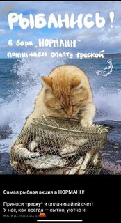 Дорогая Териберка на Баренцевом море: ресторан принимает треску как оплату