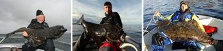 Россия, Териберка: морская рыбалка и новая снасточка для ловли хищника