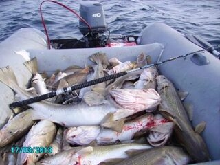 Россия, Баренцево море: почему новичкам лучше ехать на морскую рыбалку летом