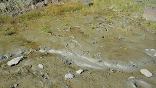 Белое море, Чупа и острова Карелии: морская рыбалка, стоянка и ночные истории у костра