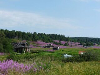 Россия, Чупа: морская рыбалка, дорога к Керети и спуск катера в прилив