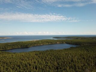 Белое море, Чупа: морская рыбалка за треской, щука на 4.800 и поздний лед