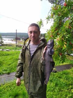 Белое море, Чупа: морская рыбалка у островов с треской, камбалой и селедкой