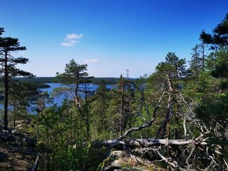 Белое море, Чупа: морская рыбалка с лодки у островов и непростой выезд