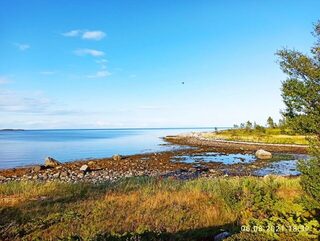 Белое море, Карелия, Чупинская губа: морская ловля трески с лодки на приливе и отливе