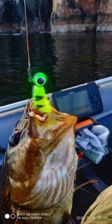 Чупа, Белое море: морская рыбалка с лодки после полутора месяцев вахты