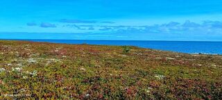 Рыбалка на Белом море, морская сторона острова Пеж: треска с лодки при восточном ветре