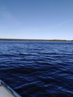 Белое море, остров Кереть: июльская рыбалка на треску, зубатку и селедку