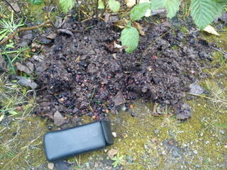 Россия, Чупа, Белое море: морская рыбалка у островов, морские котики и звериные следы