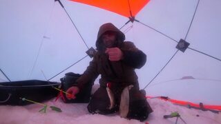 Белое море, деревня Пурнема: ловля наваги в устье реки и короткий клёв