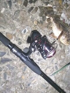 Рыбалка на Чёрном море после долгой паузы с бомбардой и отводным с тиролькой
