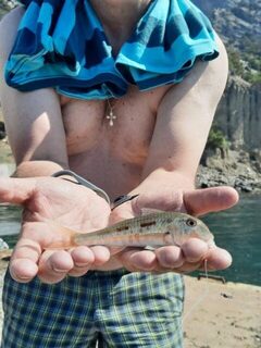 Крым, Чёрное море: ночная ловля ставриды и скорпены с дроп-шотом среди камней и расщелин у моря