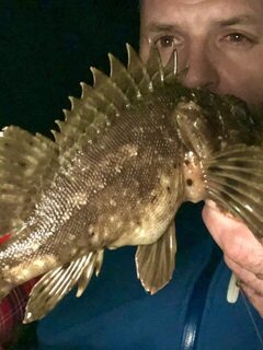 Рыбалка в Сочи на Чёрном море: ночная ловля крупной скорпены и зеленухи
