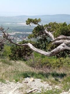 Чёрное море, Тонкий мыс: весенняя ловля смариды поплавком на холодной воде Геленджика