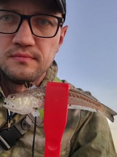 Новофёдоровка, Чёрное море: ставрида и морской дракон с пирса в спокойную погоду