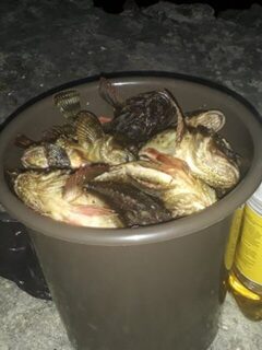 Чёрное море: береговая рыбалка за ершом на шпоре с короткой удочкой и джиг-головкой у буны