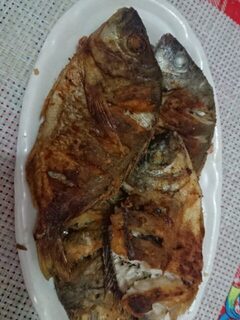 Рыбалка на Чёрном море с отводным: боковой ветер, скорпена и барабулька