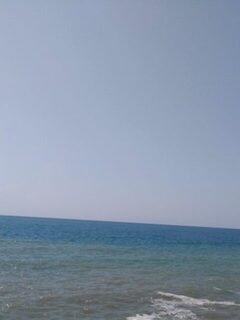 Рыбалка на Чёрном море: ловля саргана и луфаря у границы чистой и мутной воды