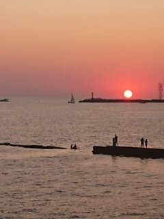 Чёрное море утром: ловля саргана до ветра с разной наживкой и проводкой