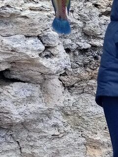 Рыбалка на Чёрном море в тихой бухте: отвесная ловля на червя со случайной снастью