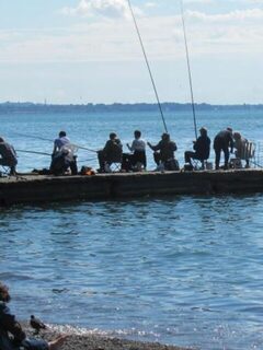 Сухум, Чёрное море: ловля кефали с волнорезов у набережной в конце сентября и начале октября