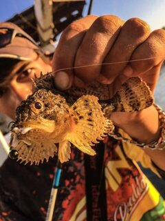 Крым, Чёрное море: рокфишинг и ловля скорпены с пирса на каменистом дне с прозрачной водой